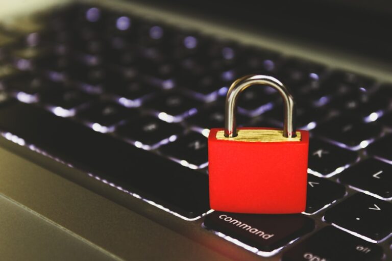 Cum sa-ti protejezi parolele si conturile online