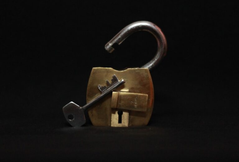 Cum sa faci un audit de securitate pentru website-ul tau