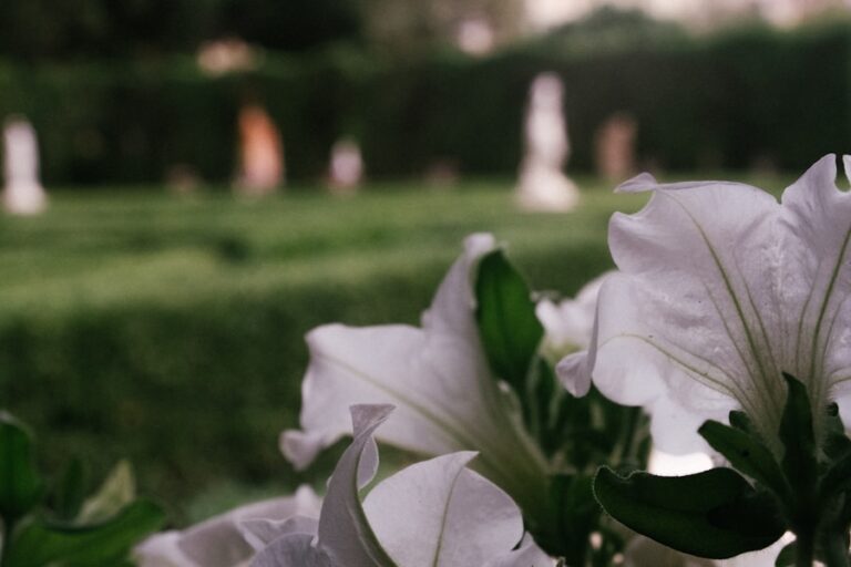 Ce semnificație au visele cu moartea și ce îți spun despre transformările din viața ta