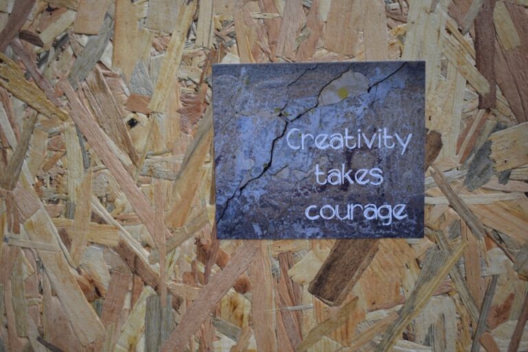 Citate despre curajul de a fi vulnerabil