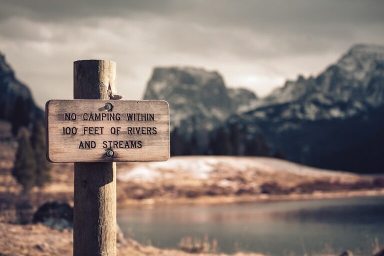 Citate despre înțelepciune care îți vor ghida alegerile