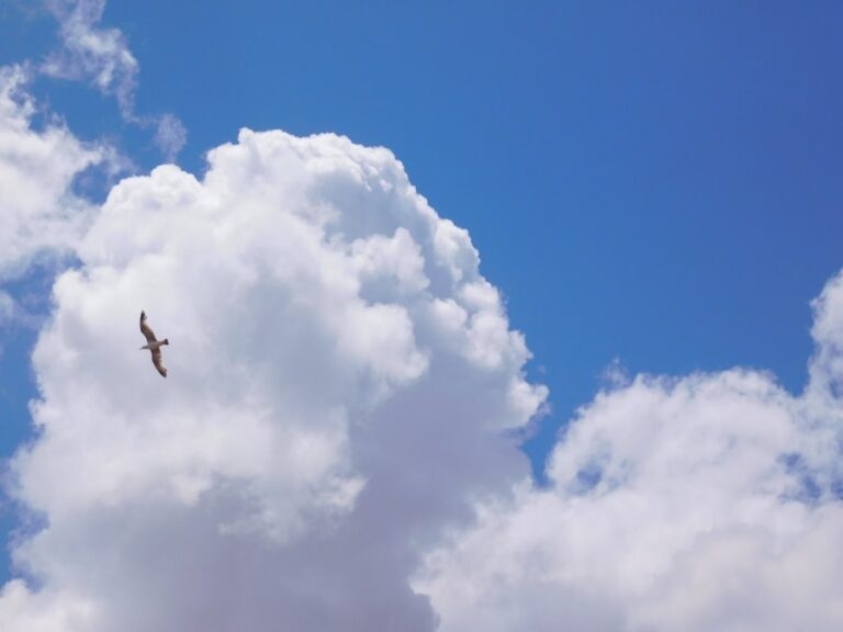 Ce înseamnă când visezi că te înălți la cer