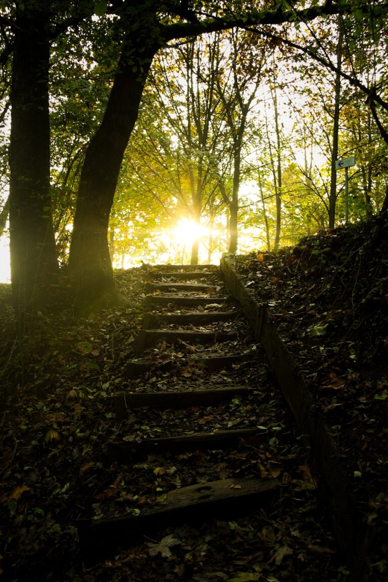 Sfaturi pentru a face față schimbărilor și a te adapta la noile condiții din viața ta