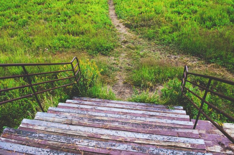 Sfaturi pentru a rămâne concentrat pe drumul tău, indiferent de obstacole