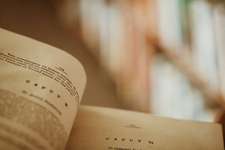 Cum să îți îmbunătățești capacitatea de a învăța și de a înțelege rapid noile concepte