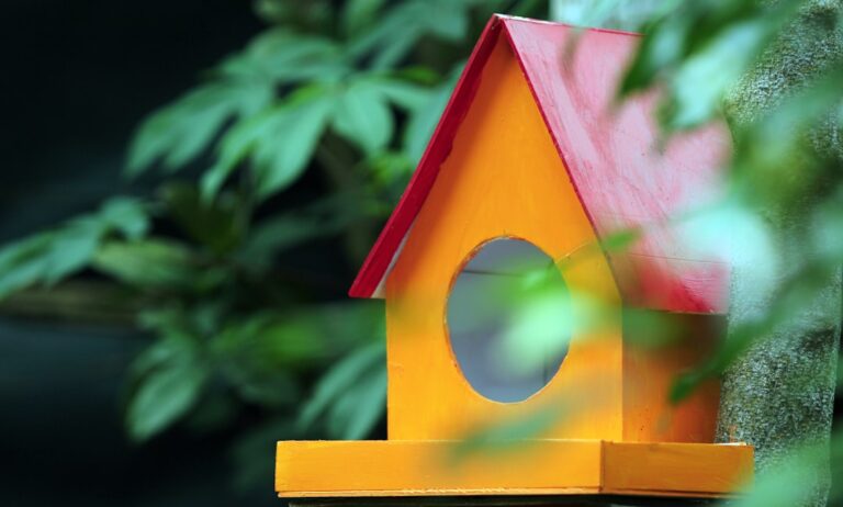 cum îți protejezi casa de energii negative