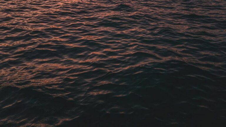 iartă-ne sau iartăne – Cum se scrie corect