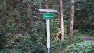 Tehnica Pointer: Viteză cu Degetul sau Creionul