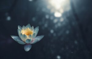 Photo Meditation