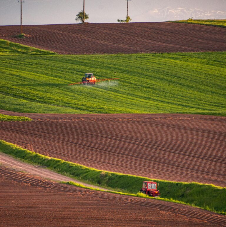 ALDEMO si Eco-Schemele Europene – Conformitate, Subventii si Agricultura Durabila