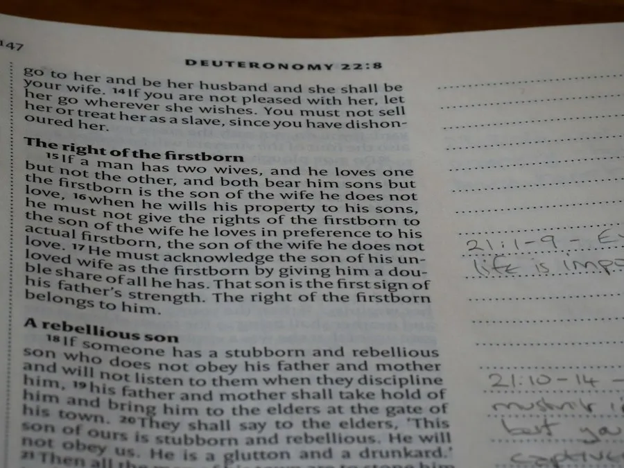 Photo documentary reading guide