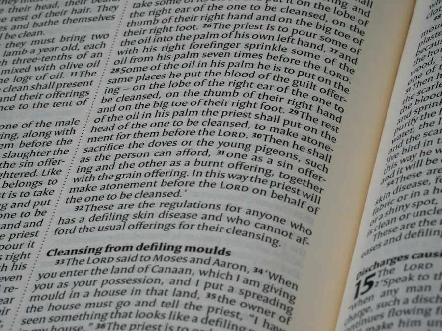 Photo common contract reading mistakes